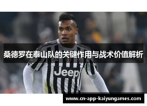桑德罗在泰山队的关键作用与战术价值解析