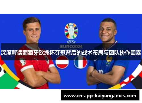 深度解读葡萄牙欧洲杯夺冠背后的战术布局与团队协作因素