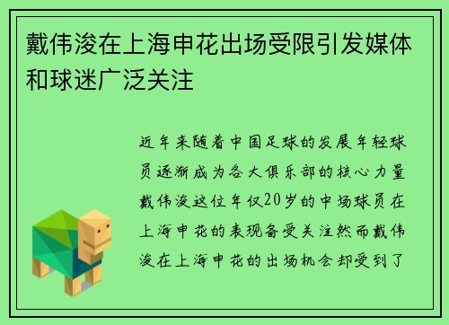 戴伟浚在上海申花出场受限引发媒体和球迷广泛关注